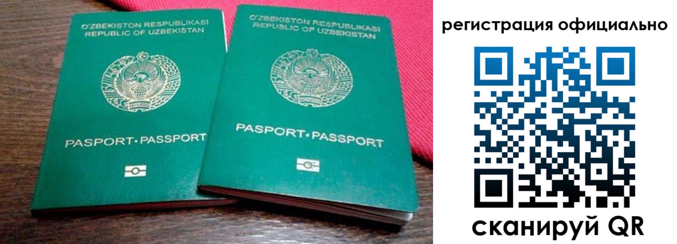 прописка регистрация в Невеле